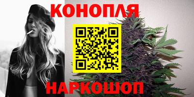 стаф Лесосибирск
