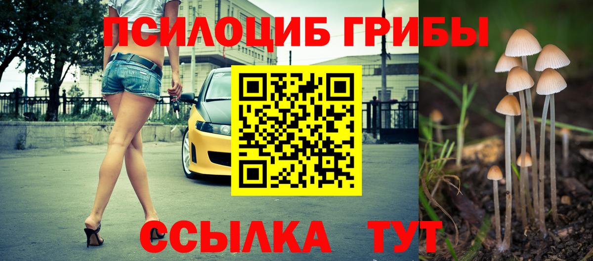 Псилоцибиновые грибы мухоморы  Галлюциногенные грибы Psilocybe  Вход с VPN  купить наркотик  Железногорск 
